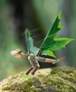 HABA 305341 Terra Kids Connectors – Starter-Konstruktions-Set -Haba 15564102 05