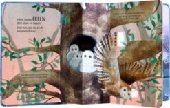 HABA 305836 Mein Pop-up-Buch – Tiere In Der Nacht -Haba 24258344 03