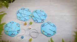 HABA 306567 Walli Wickelspinne 8 HABA 306567 Walli Wickelspinne -Haba 24259505 04